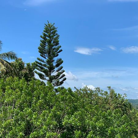迪克韦勒Thaproo Bay Hiriketiya住宿加早餐旅馆 外观 照片