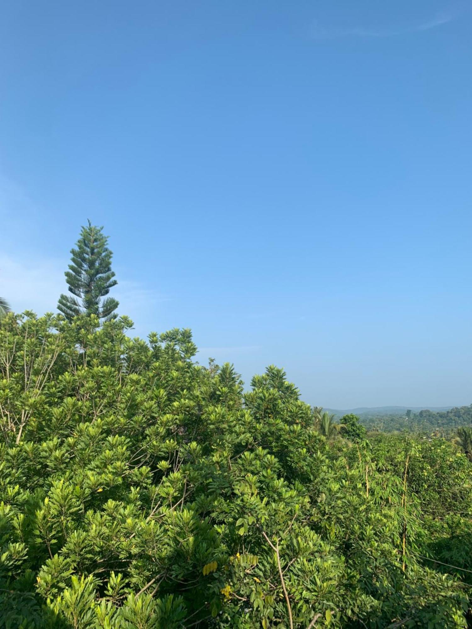 迪克韦勒Thaproo Bay Hiriketiya住宿加早餐旅馆 外观 照片